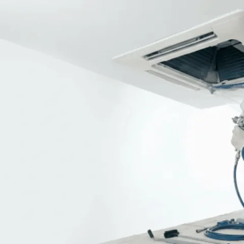 Banner 5
