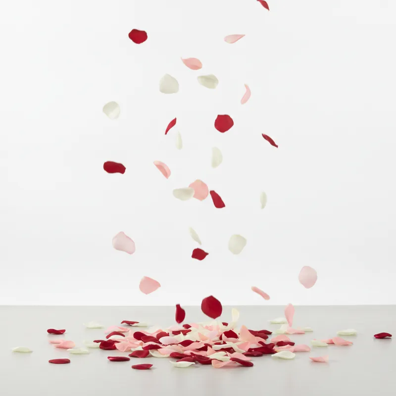 Rose Petals That Float In The Air