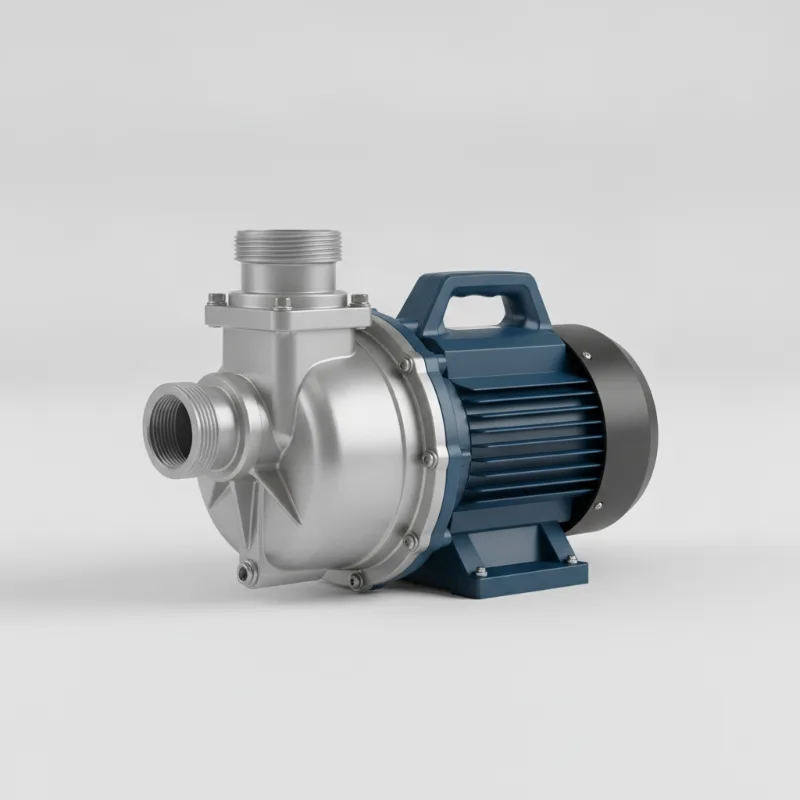 ปั๊มสระว่ายน้ำประสิทธิภาพสูง (Pool Pumps)